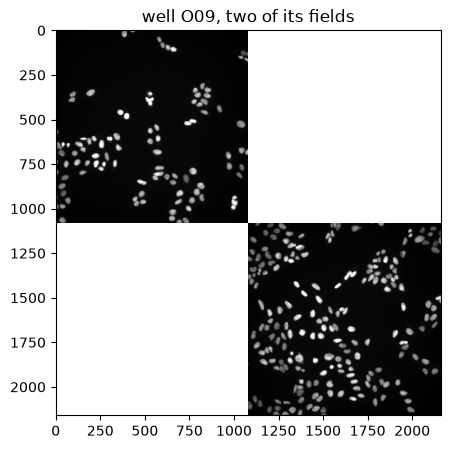 ../../_images/ee9c628f97474d49ae7514a88725e1dc953482864964d2ca5a32f324328dd74f.png